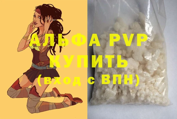 ешки Белокуриха