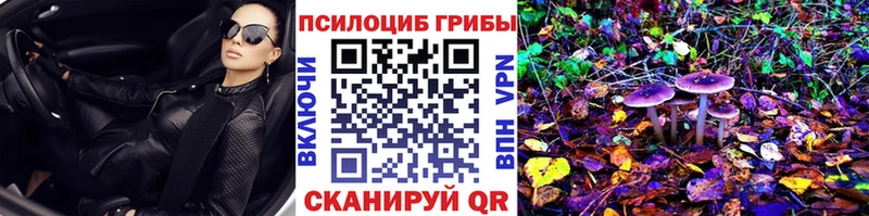 Галлюциногенные грибы Psilocybine cubensis  Лабинск 